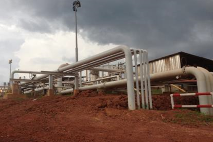 TANAL  international and Inca