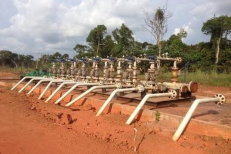 TANAL international and Inca